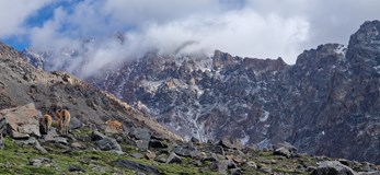 Expe Night - Aconcagua
