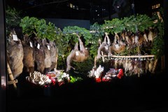 19. reprezentační ples společnosti Lesy města Brna, a.s.