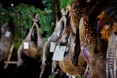 19. reprezentační ples společnosti Lesy města Brna, a.s.