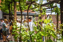 Den otevřených sklepů ve Bzenci