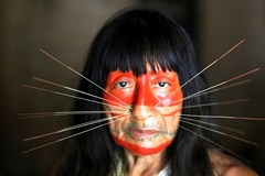 Tomáš Kubeš:  Amazonie - Tajemství pralesa