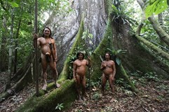 Tomáš Kubeš:  Amazonie - Tajemství pralesa