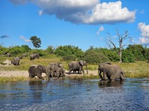 AFRIKOU NA KOLE - 23000 Km z SK na nejjižnější bod Afriky 