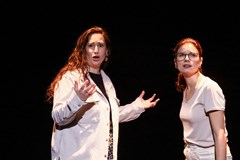 Paleťáci vs. smečka