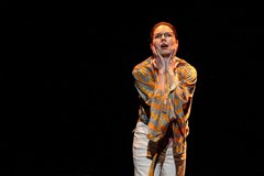 Paleťáci vs. smečka