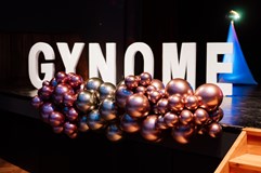 REPREsenzační PLES