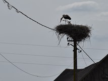 K polárnímu kruhu nejen na kole