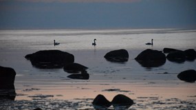 K polárnímu kruhu nejen na kole