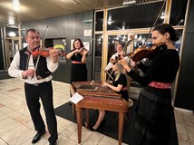 Městský společenský ples