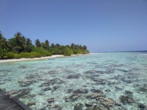 Maledivy - tropický ráj nebo drahá past na turisty?