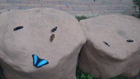 Ekvádor - země tří světů