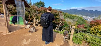 Japonsko - od neonového Tokya až po korálové útesy Okinawy