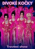 Travesti show Divoké kočky v Ostravě-Porubě