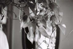 JIŘÍ IMLAUF trio | koncert