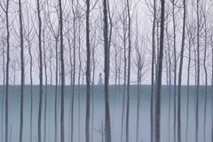 FILMOVÝ KLUB - Milost