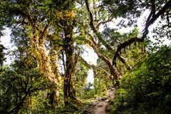 Povídání o Nepálu a promítání dokumentu