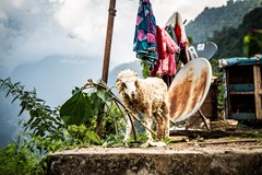 Povídání o Nepálu a promítání dokumentu