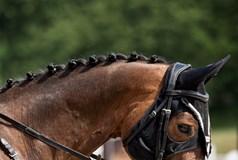 Amateur & Profi Jump Tour - Písek