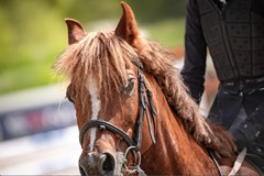 Amateur & Profi Jump Tour - Hořovice