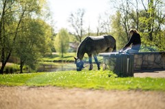 Amateur Jump Tour - Královice
