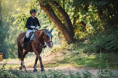 Amateur Jump Tour - Královice