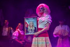 Slovenský a žiadny iný – PiNKBUS platform