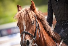 Amateur & Profi Jump Tour - Hořovice