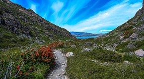 Patagonie (Argentina, Chile)