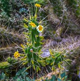 Fisherman trail v Portugalském Algarve