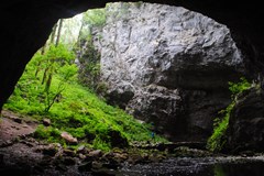 S kytarou na kole k moři