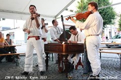 Festival vína Kyjov - přehlídka vinařů z Kyjovska