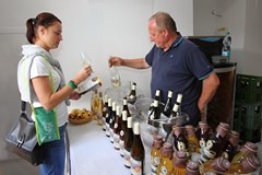 Festival vína Kyjov - přehlídka vinařů z Kyjovska