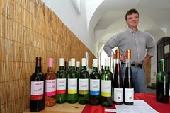 Festival vína Kyjov - přehlídka vinařů z Kyjovska