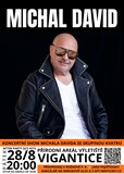 MICHAL DAVID
