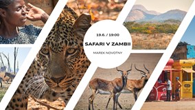 Safari v Zambii