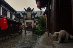 Po zemi do Kambodži