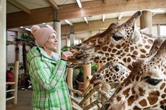 Sanitka splněných snů - benefiční koncert