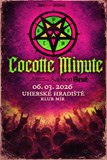 Cocotte Minute