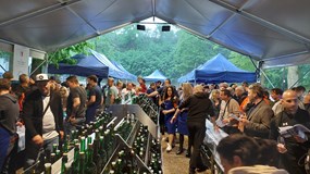 Místní výtava vín