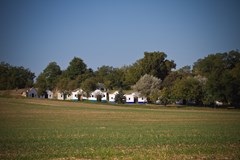 Místní výtava vín