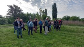 Česká společnost ornitologická – Jihomoravská pobočka