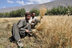 GO Kamera 2026 | Těšínský, Švejnoha, Dušek, Bačkor