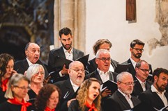 Dvořákův festival: Zahajovací koncert