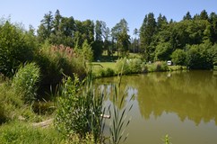 Festival Esence života