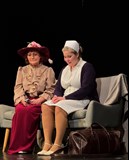 Podivná paní Savageová