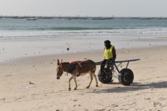 Mauritánie - písek, vítr a železná ruda