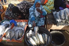 Mauritánie - písek, vítr a železná ruda