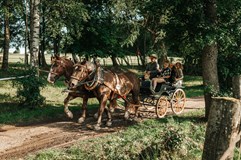 Oslavy Slunovratu / SHIVERS