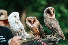 Oslavy Slunovratu / SHIVERS