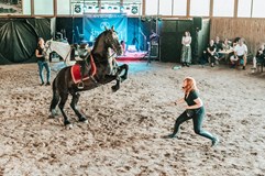 Oslavy Slunovratu / SHIVERS